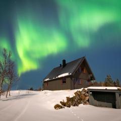 Bestefarhaugen - the cozy house on the hill & dome