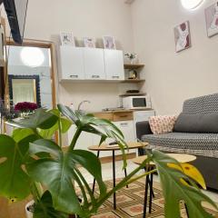 Dori's Wilson Studio at Blloku Neighborhood