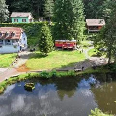 L'étang de Belval - Vosges