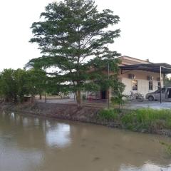 Arau Pulau Hilir Home