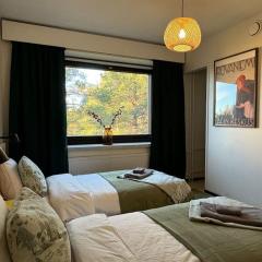 Arctic Boreal Studio