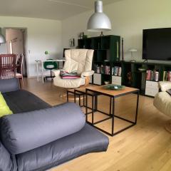Komfort hjem i Aalborg