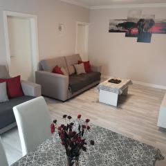 Casasjerezanas Mariposa