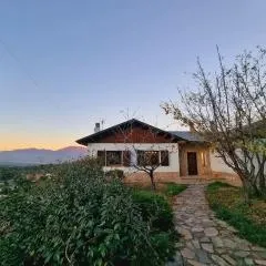 L'AMAGATALL DEL MONTNEGRE