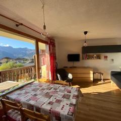 Appartement confortable 4 pers., proche pistes et commerces, parking, balcon Sud-Ouest, animaux admis - FR-1-733-91