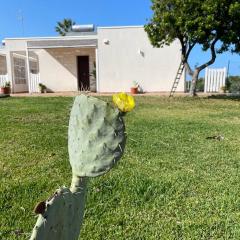Sicilia holiday Etna house