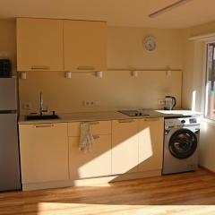 Green Zyland Apartment