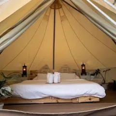 The Hidden Gem Viewpoint Camping & Rooms