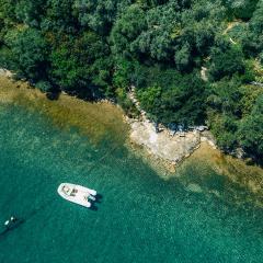 Magical Treehouse Cabin by the sea with amazing views