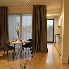 102 Hideaway I 1 BR apartment in Aviatiei