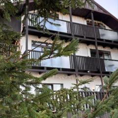Aparthotel "Mayak Yablunytsia"