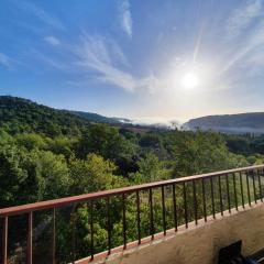 Residence le Cézanne vue panoramique climatisée