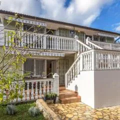 Lovely Apartment In Pavicini With Wifi