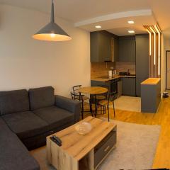 Ilidža VIP apartment