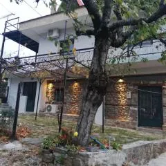 Παραδοσιακο σπιτι με εσωτερικο τζακι