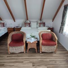 Luxurious studio room