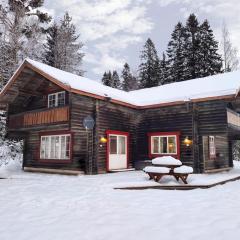Luxurious Log House - Gränsfors 354
