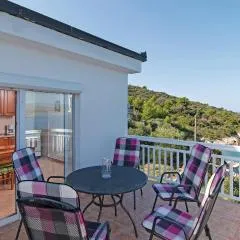 Nice Apartment In Drvenik Veliki