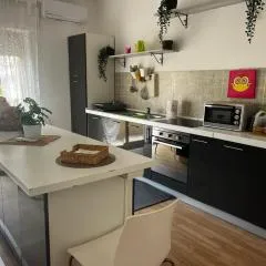 16casadiLu