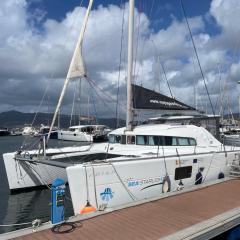 Catamaran Orion