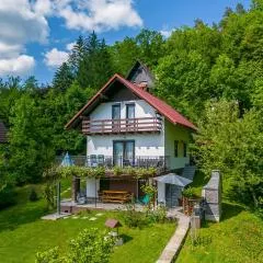 Stunning Home In Brod Na Kupi With Wifi
