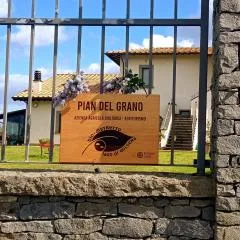 AZIENDA agricola Pian del Grano