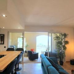 appartement pont royal