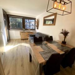 Appt Cosy au centre Chamonix