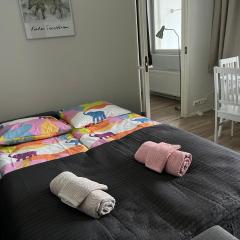 Wonderful arctic city apartment