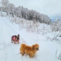 Ferienwohnung Traumblick