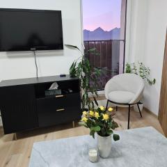 City apartment with moutain view - free parking