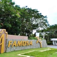 A'FAMOSA Pool Villa by S&T Homez