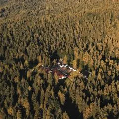 Forest Camp Val di Gresta