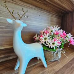 The viva patong condo C602