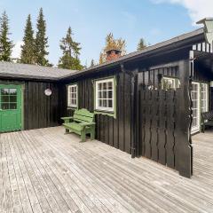 Beautiful Home In Sjusjøen With Kitchen