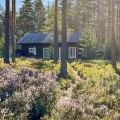 3 Bedroom Cozy Home In Treungen