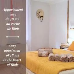 Blois City - Le Petit Louis XII