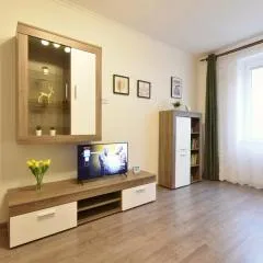 City Apartment