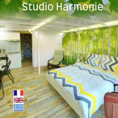 Joli studio avec terrasse, 2km A79, 6km le Pal