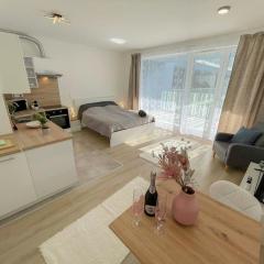 Bright Riverside Studio, Balcony, Free Parking, Air Conditioning