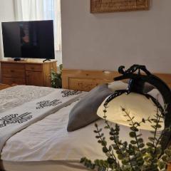 Willa Świerk - Panorama Tatr