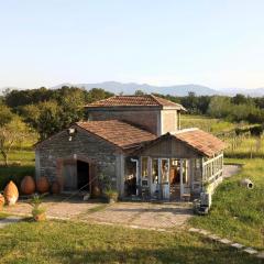Mshvenieradze Winery
