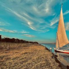 My Dream Nile Felucca