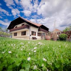 Farm Stay Žagar