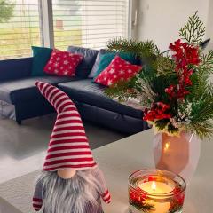 Pasivní dům uprostřed louky