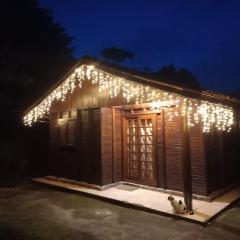 Cabana Family - Na Mata Atlântica