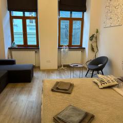 Apartment VIP Virmenska Street