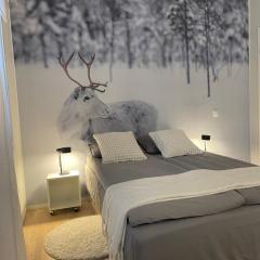 Studio Rudolf - Comfy city apartment with Private sauna & Free Wi-Fi