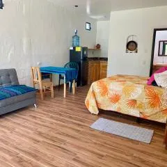 Garden studio