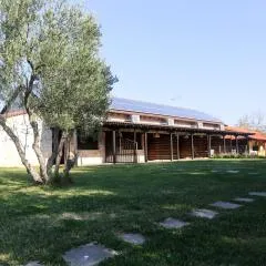 Gioulis Apartments & Studios